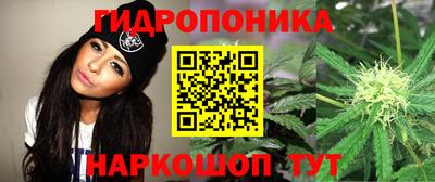 альфа пвп Рыбинск
