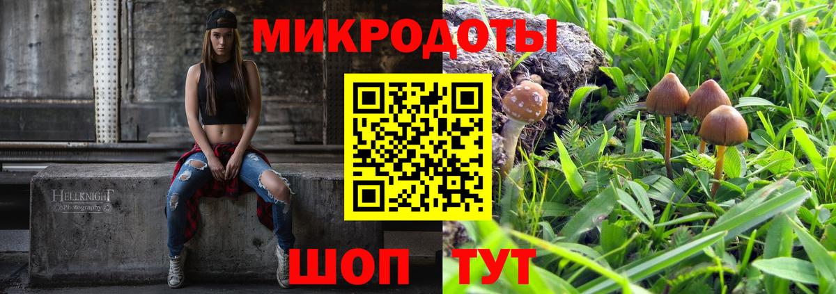 наркошоп  Псилоцибиновые грибы Psilocybine cubensis  Псилоцибиновые грибы Psilocybine cubensis  Вход с VPN  Сальск 